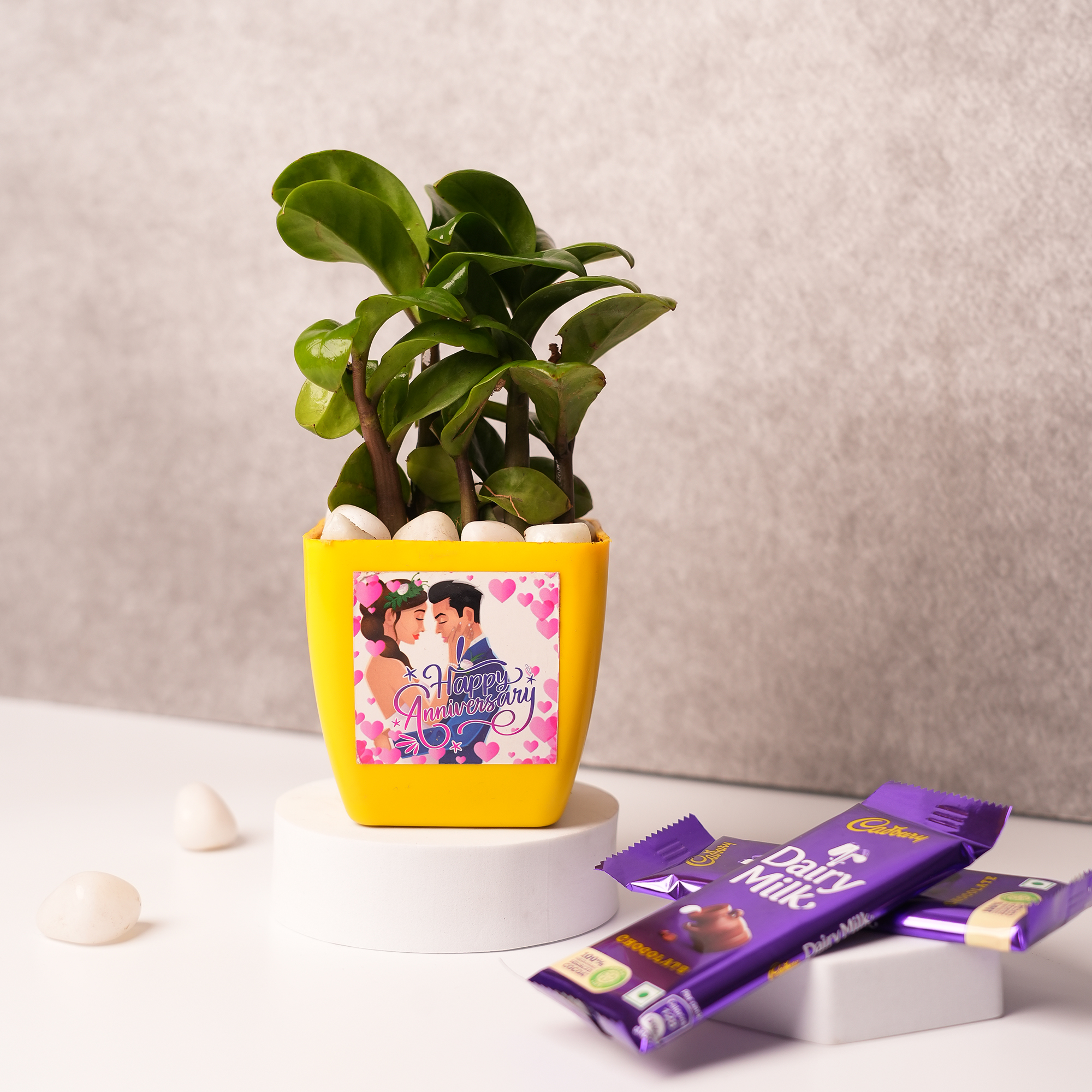 Jade Plant in Yellow Written Ceramic Pot – A Symbol of Positivity & Prosperity