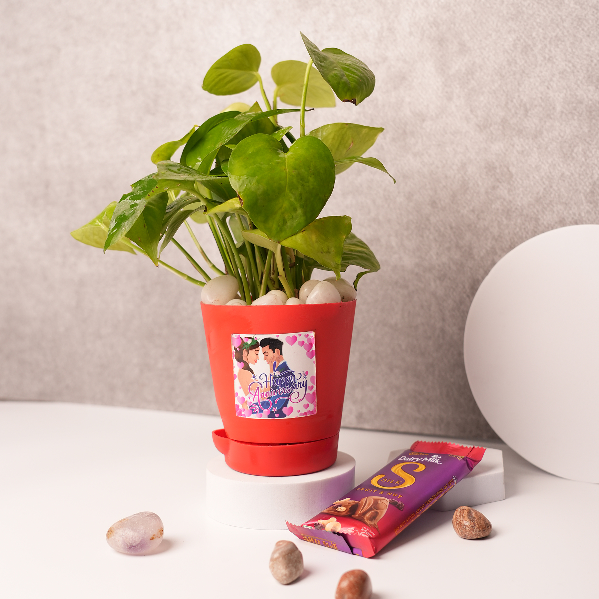 Money Plant in Red Ceramic Pot – A Symbol of Wealth & Prosperity