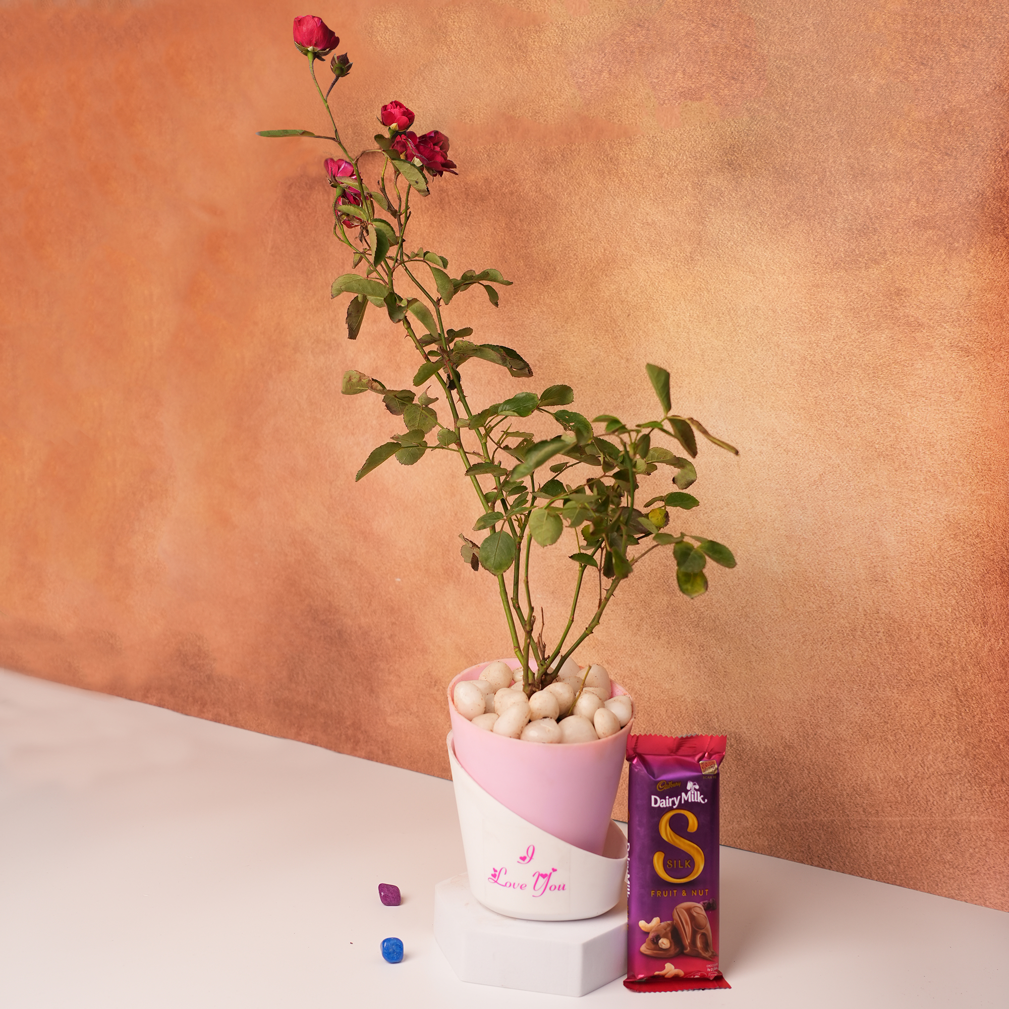 Beautiful Rose Plant – A Symbol of Love & Elegance